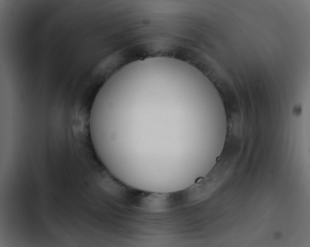 X0000103930138200809261712