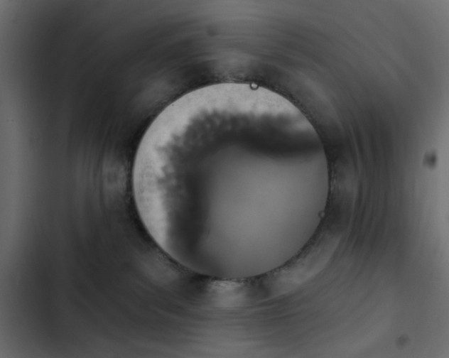 X0000103930139200809261712