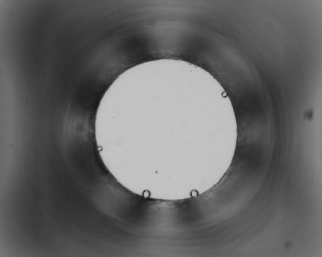 X0000103930140200809261712