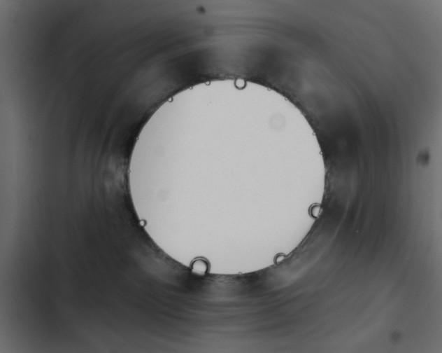 X0000103930141200809261711