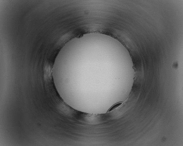 X0000103930142200809261711