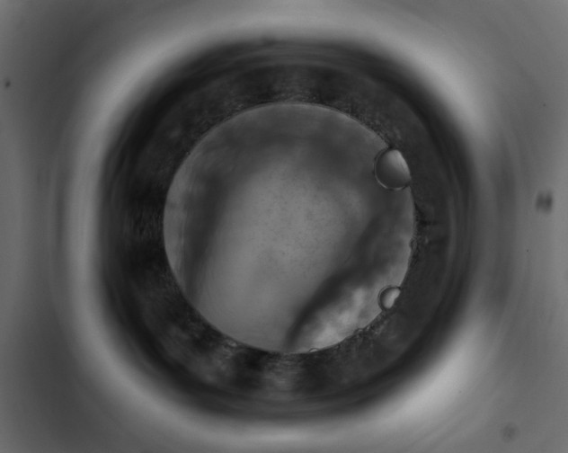 X0000103930143200809261711