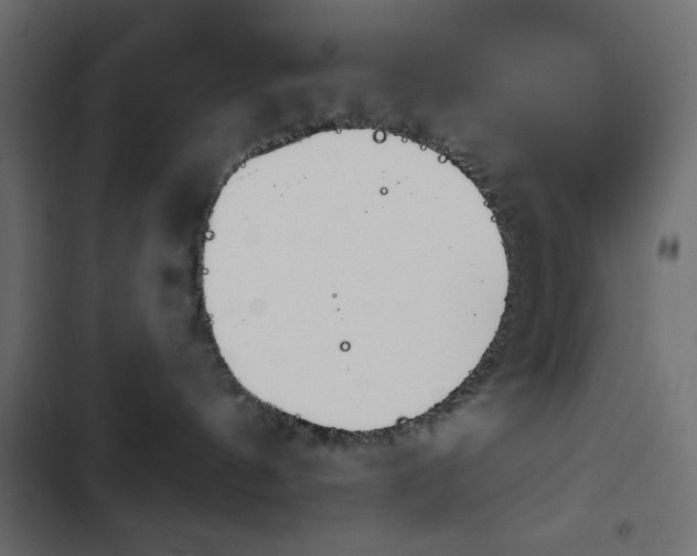 X0000103930144200809261711