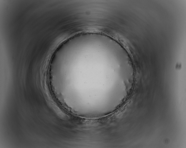 X0000103930145200809261711