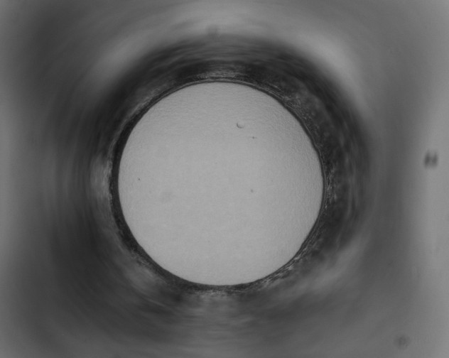 X0000103930146200809261711
