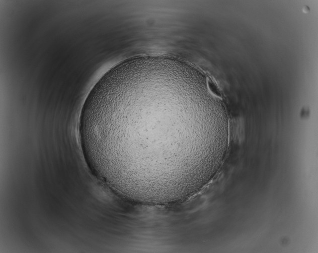 X0000103930147200809261711