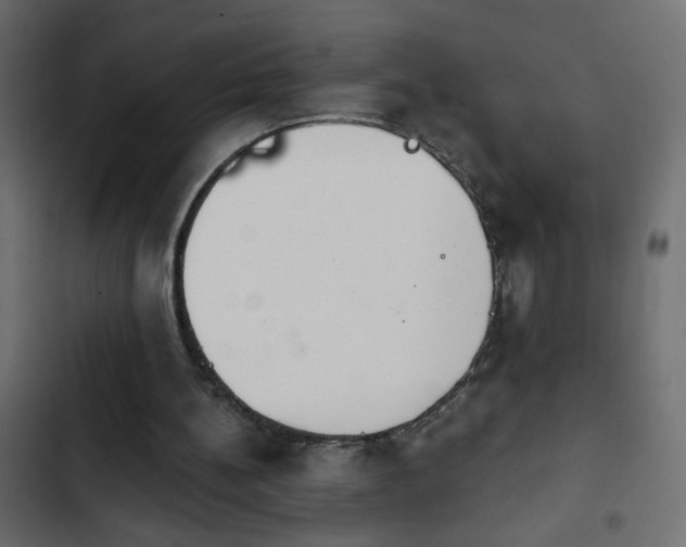 X0000103930148200809261711