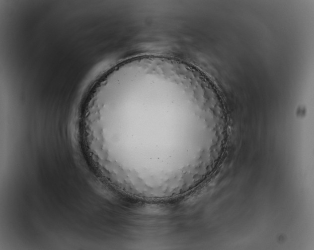 X0000103930149200809261711