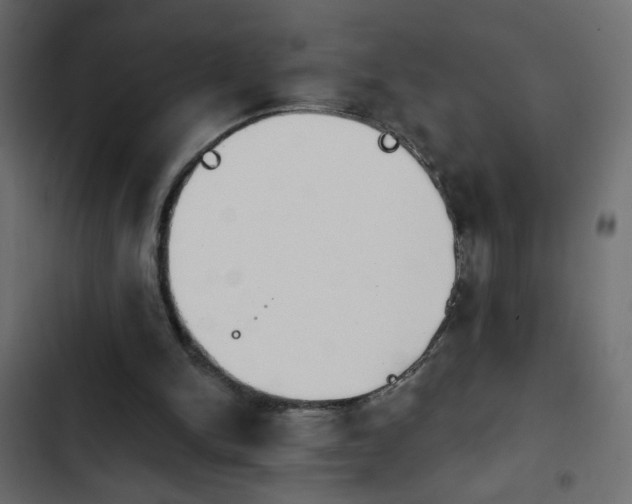 X0000103930150200809261711