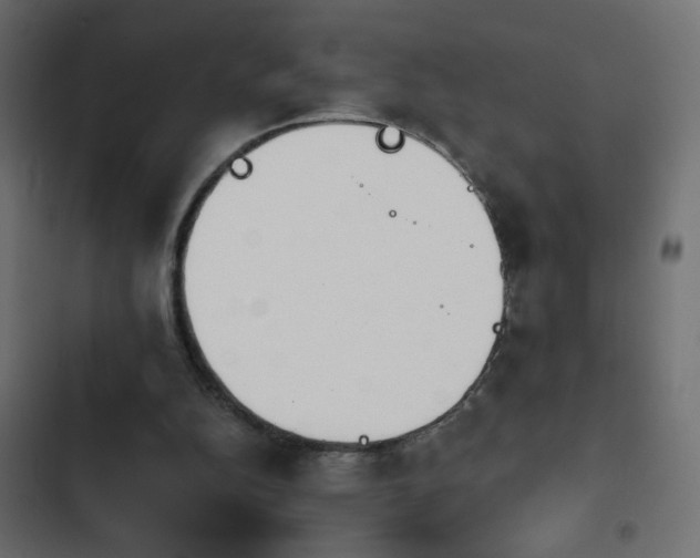 X0000103930152200809261711