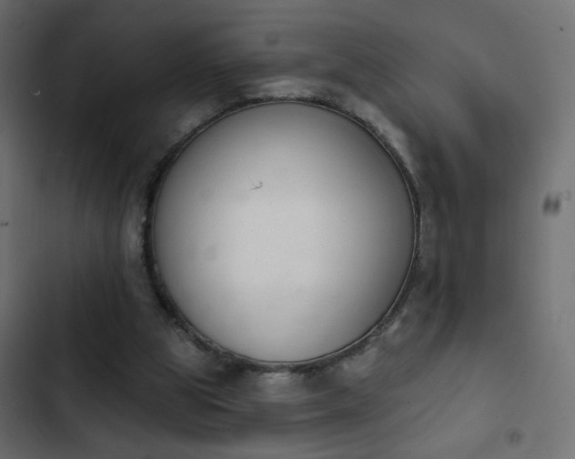 X0000103930153200809261711