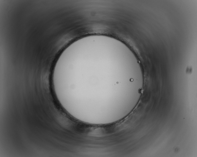 X0000103930154200809261711