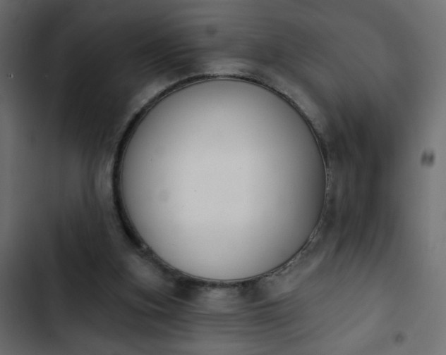 X0000103930155200809261711