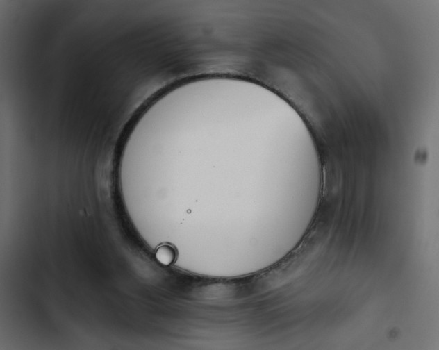 X0000103930156200809261711