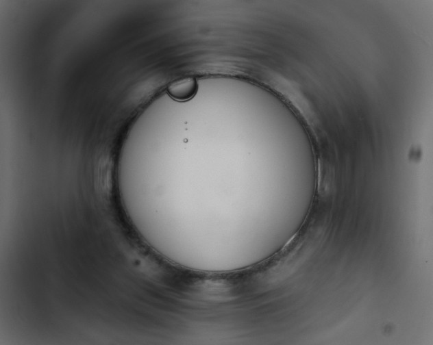 X0000103930157200809261711