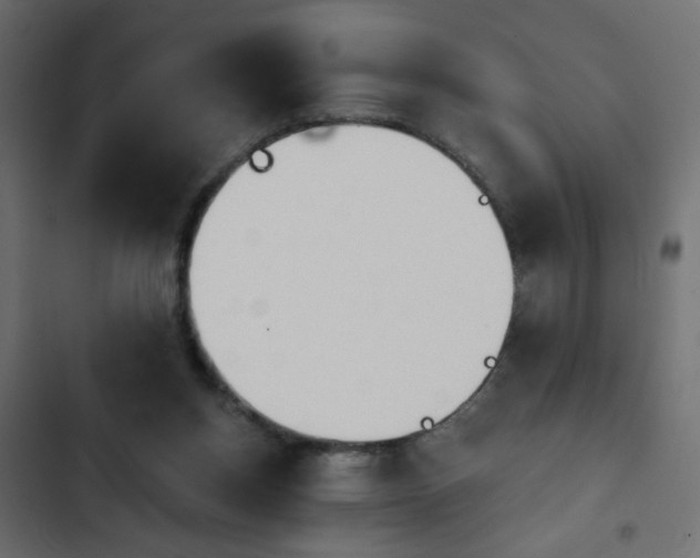 X0000103930158200809261711