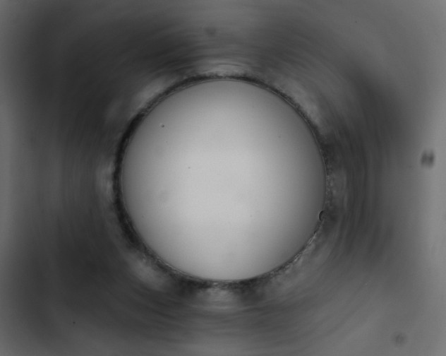 X0000103930159200809261711