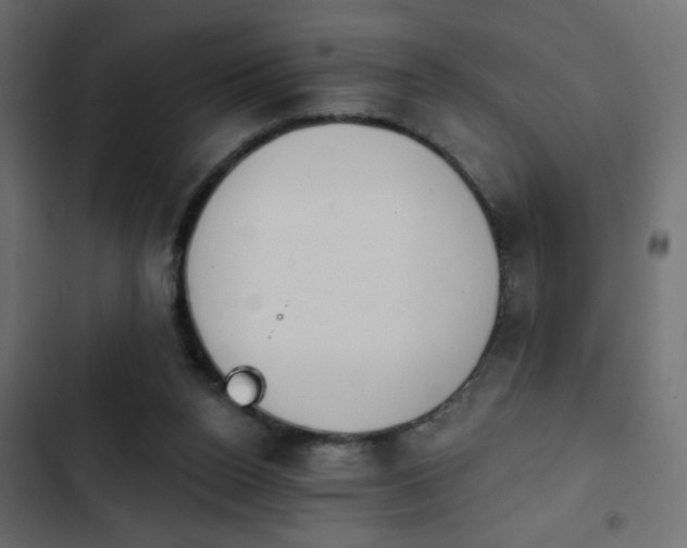 X0000103930160200809261711