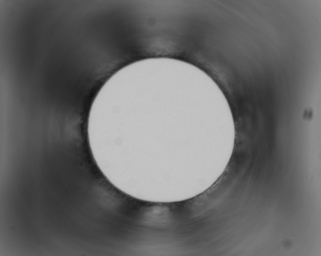 X0000103930162200809261711