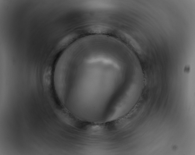 X0000103930163200809261711