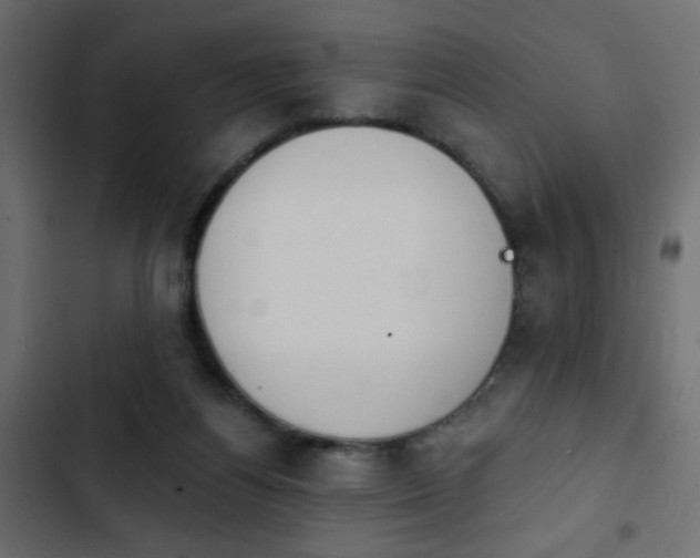 X0000103930164200809261711