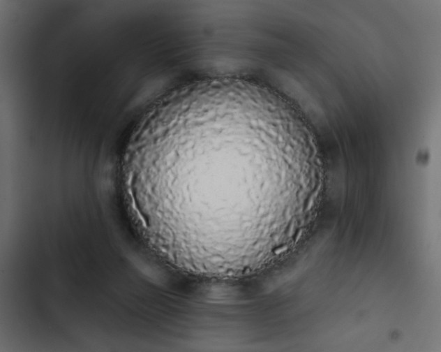 X0000103930165200809261711