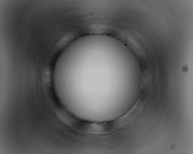 X0000103930166200809261711