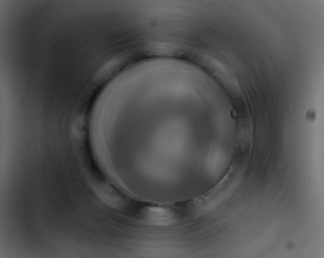 X0000103930167200809261711