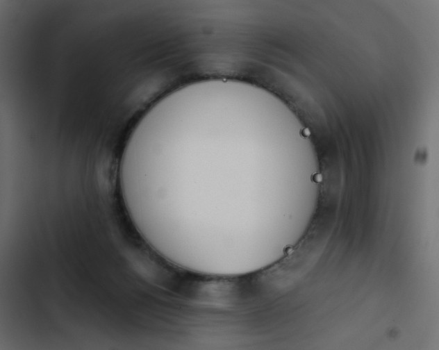 X0000103930168200809261711