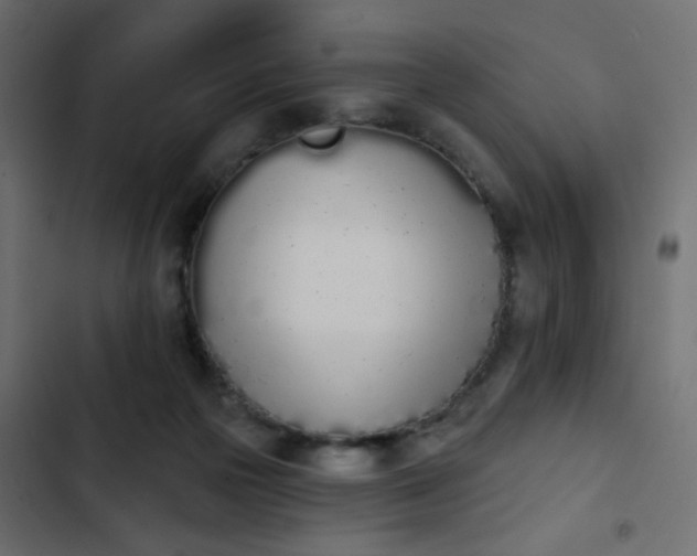 X0000103930169200809261711