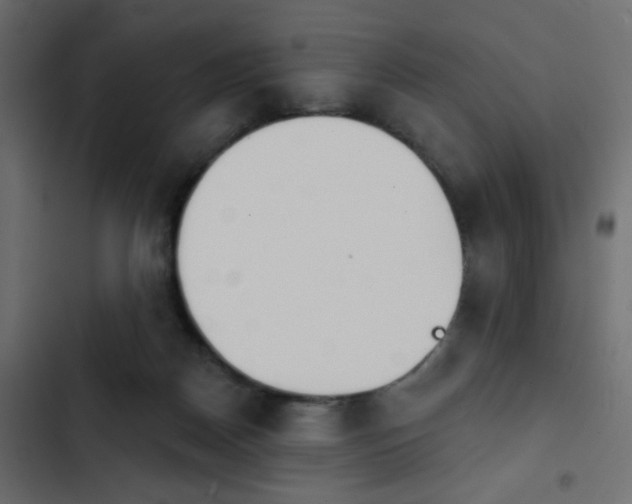 X0000103930170200809261711