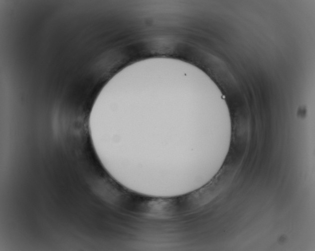 X0000103930172200809261711