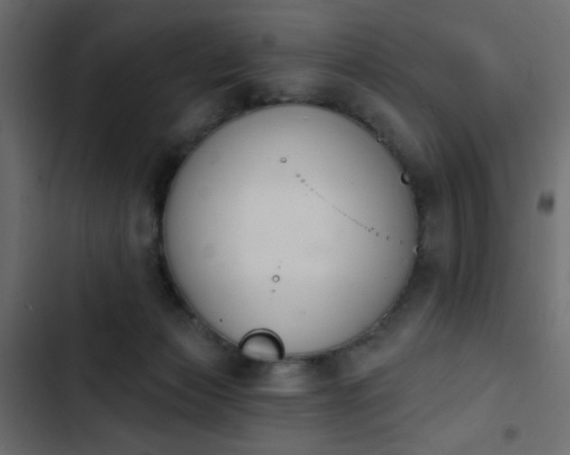 X0000103930173200809261711