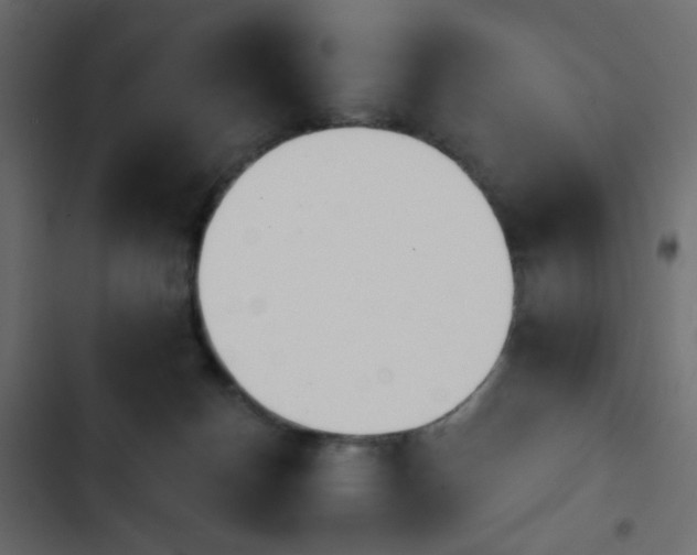 X0000103930174200809261711