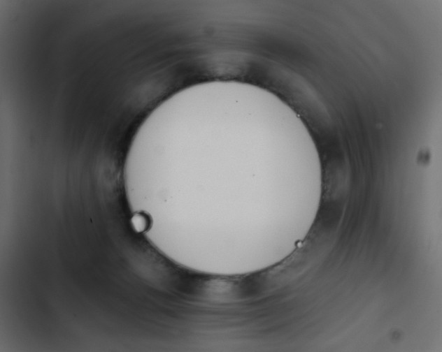 X0000103930176200809261711