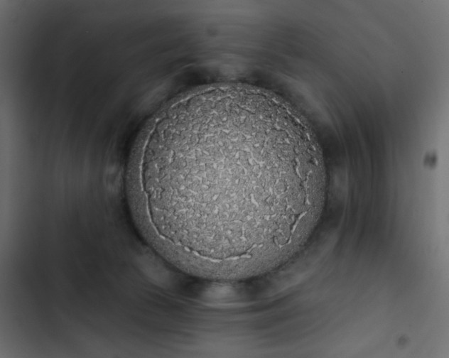 X0000103930177200809261711