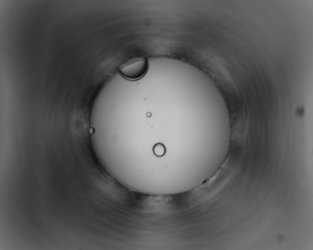 X0000103930179200809261711