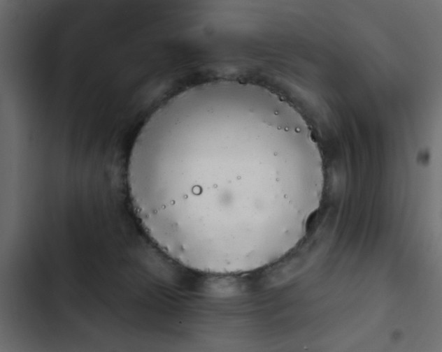X0000103930181200809261711