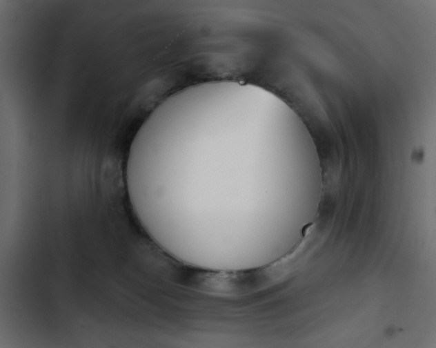 X0000103930182200809261711