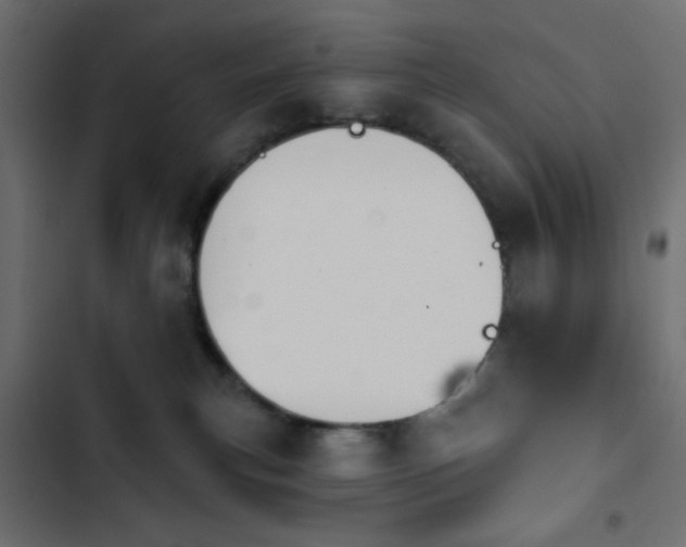 X0000103930183200809261711