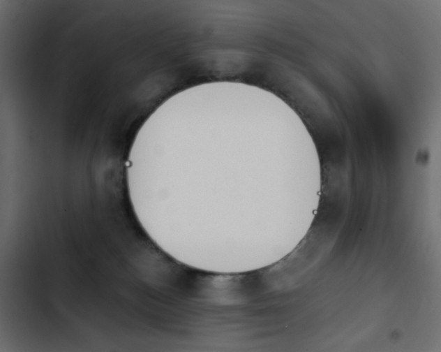 X0000103930184200809261711