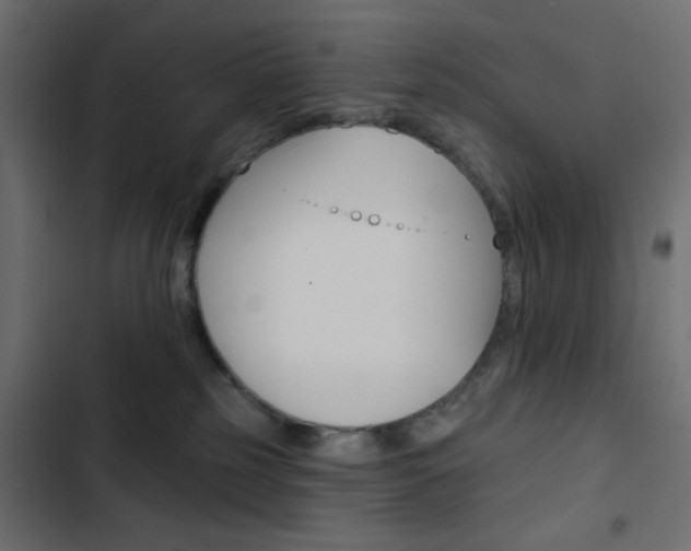 X0000103930185200809261711