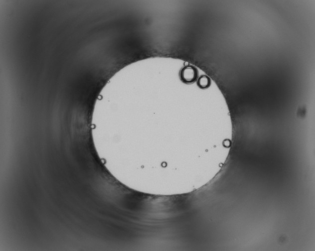 X0000103930186200809261711