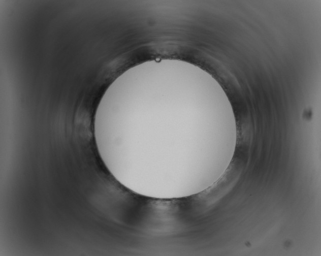 X0000103930187200809261711