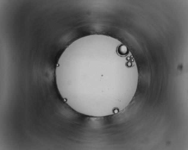 X0000103930188200809261711