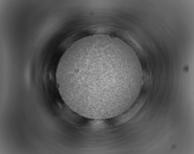 X0000103930189200809261711