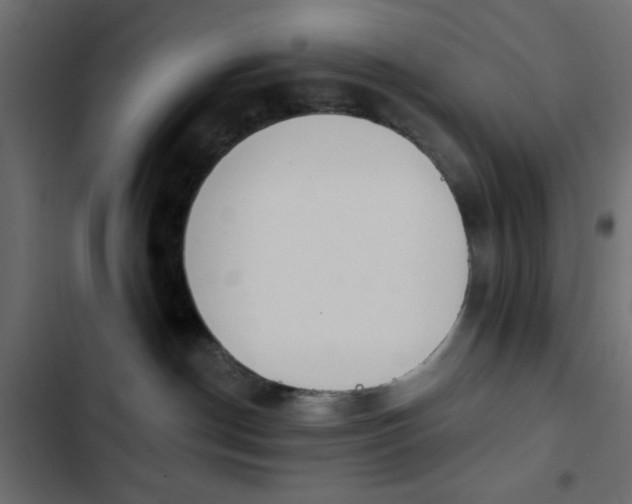 X0000103930190200809261711