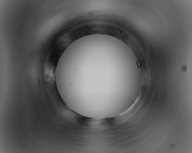 X0000103930191200809261711