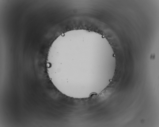 X0000103930192200809261711