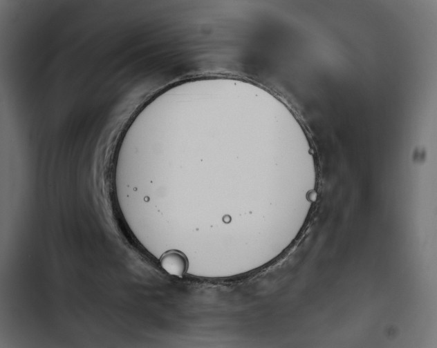 X0000103930193200809261711